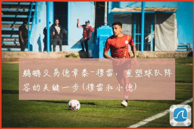 鹈鹕交易德章泰-穆雷，重塑球队阵容的关键一步(穆雷和小德)