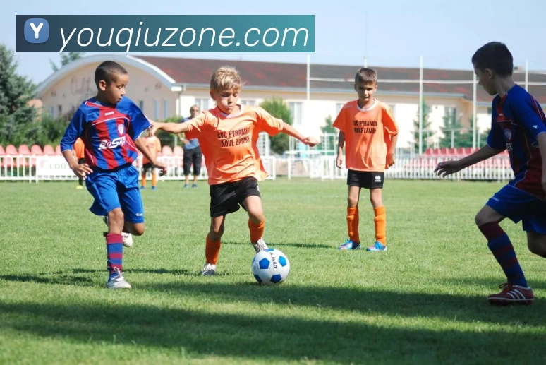 App Interface Preview